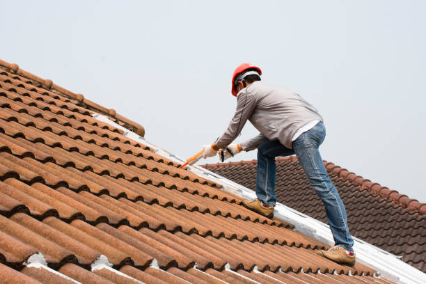 Best Asphalt Shingle Roofing  in Whitaker, PA