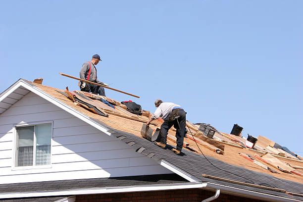 Best Roof Moss and Algae Removal  in Whitaker, PA